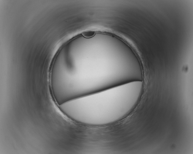 X0000115531335200911061118
