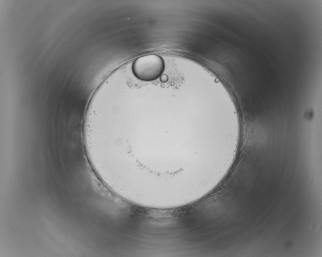 X0000115531338200911061118