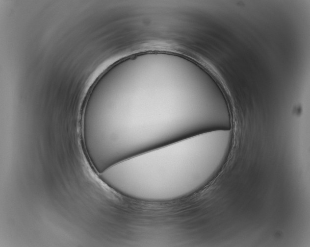 X0000115531339200911061118