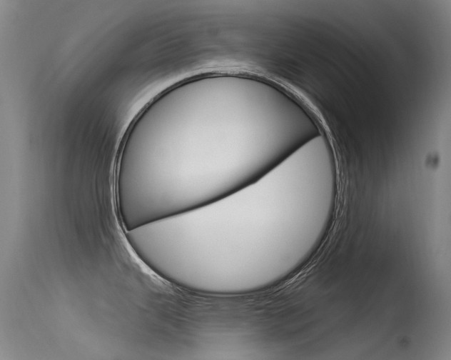 X0000115531343200911061118