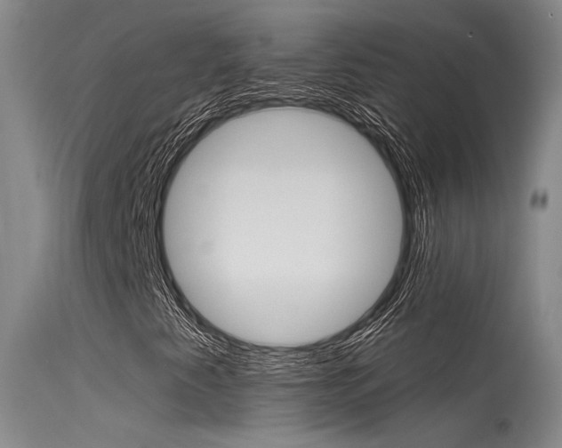 X0000115531345200911061118