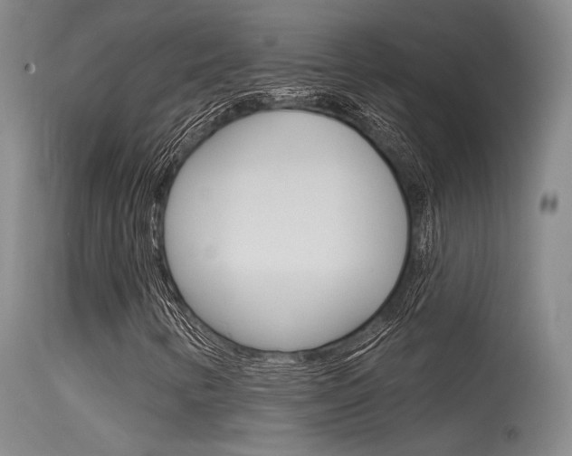 X0000115531346200911061118