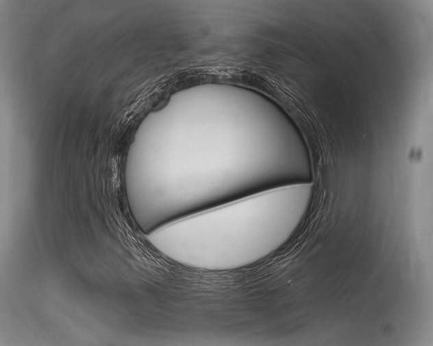 X0000115531347200911061118