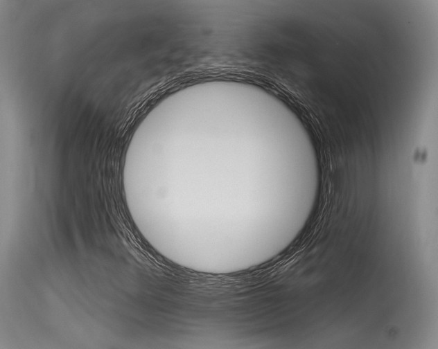 X0000115531348200911061118
