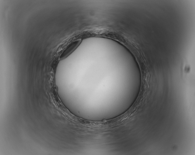 X0000115531349200911061118