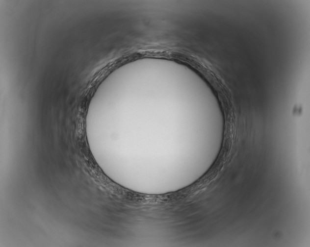 X0000115531350200911061118