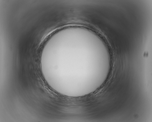 X0000115531352200911061118