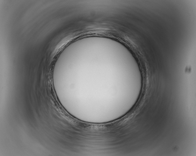 X0000115531354200911061118