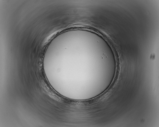 X0000115531355200911061118