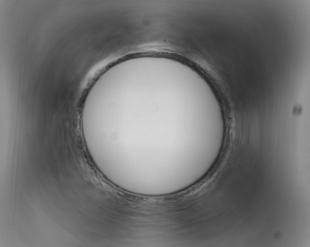 X0000115531358200911061118