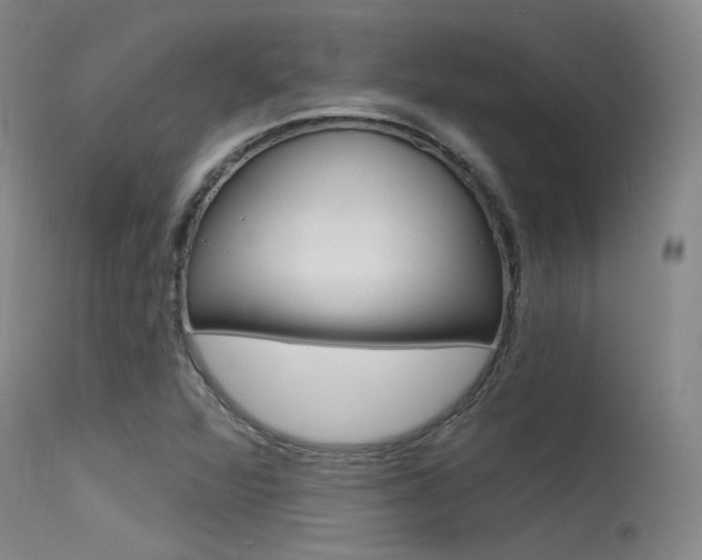 X0000115531360200911061118