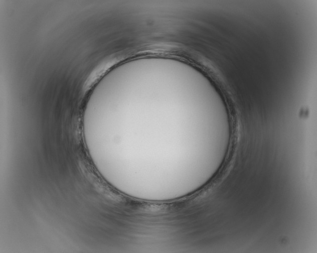 X0000115531362200911061117