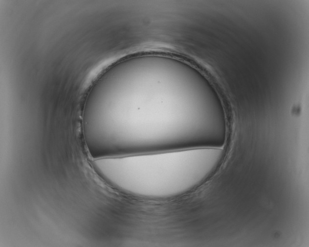 X0000115531363200911061117