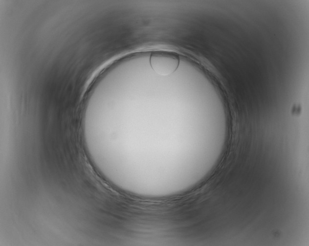 X0000115531364200911061117