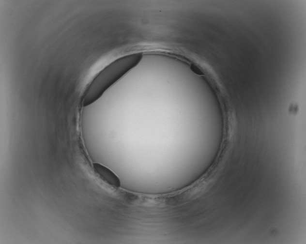 X0000115531365200911061117