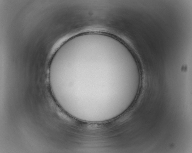 X0000115531366200911061117