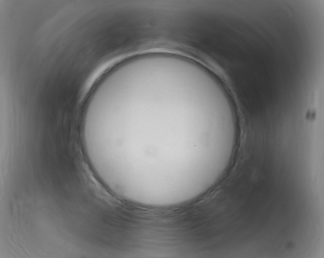 X0000115531368200911061117