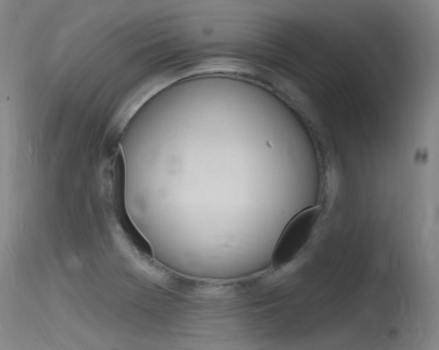 X0000115531369200911061117