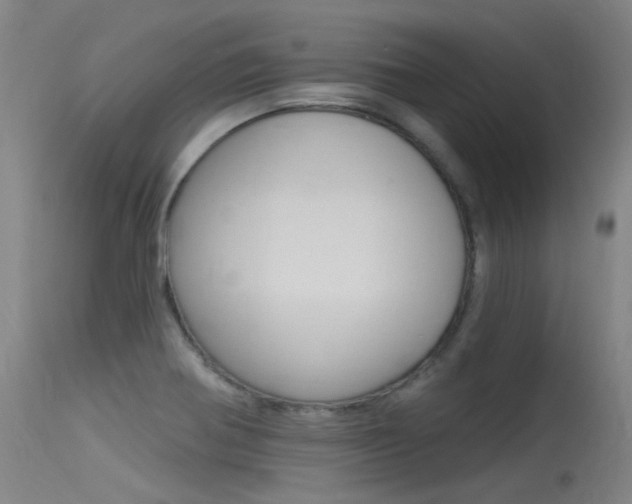 X0000115531370200911061117