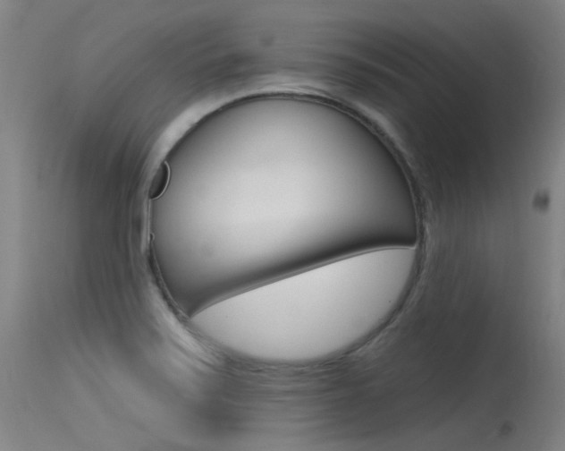 X0000115531371200911061117