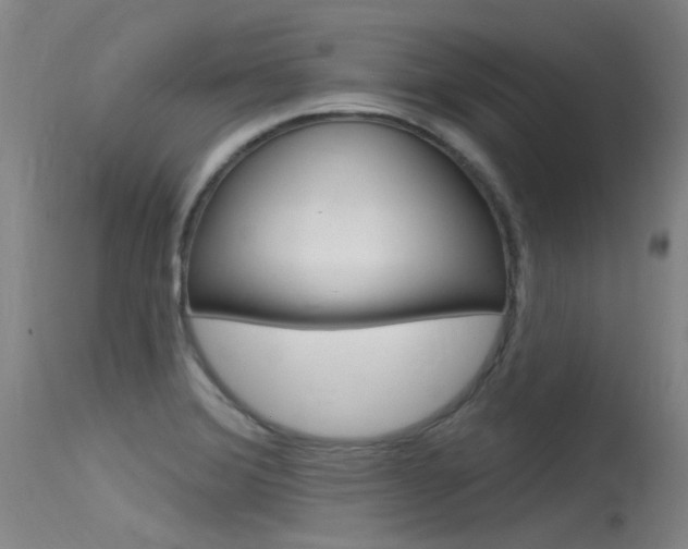 X0000115531372200911061117