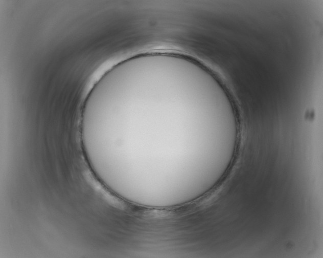 X0000115531374200911061117