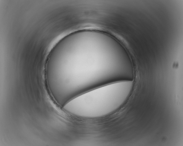 X0000115531375200911061117