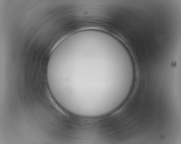 X0000115531377200911061117