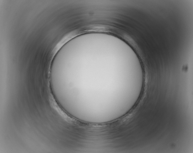 X0000115531378200911061117
