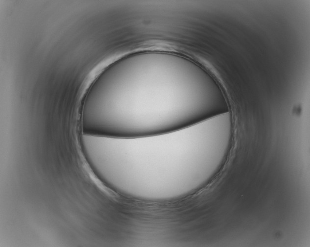 X0000115531379200911061117