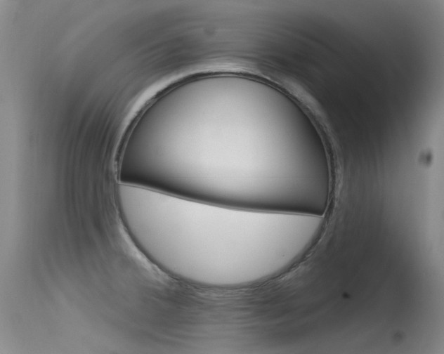 X0000115531380200911061117