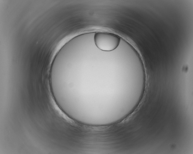 X0000115531381200911061117