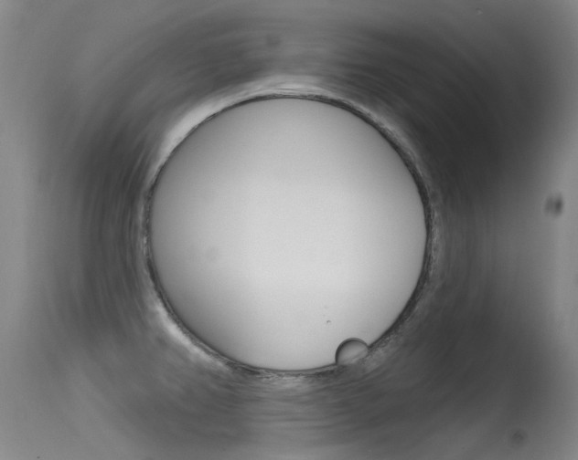 X0000115531382200911061117