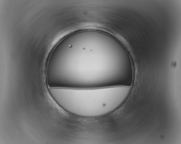 X0000115531384200911061117