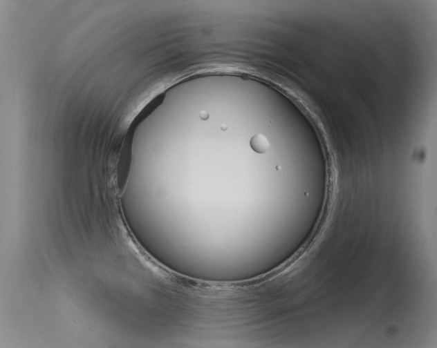 X0000115531385200911061117