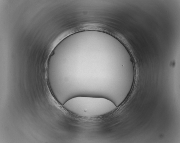 X0000115531386200911061117