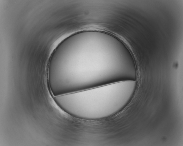X0000115531387200911061117