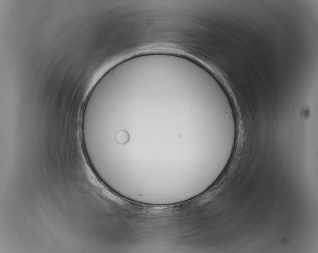 X0000115531390200911061117