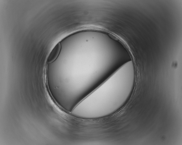 X0000115531391200911061117