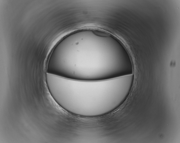 X0000115531392200911061117