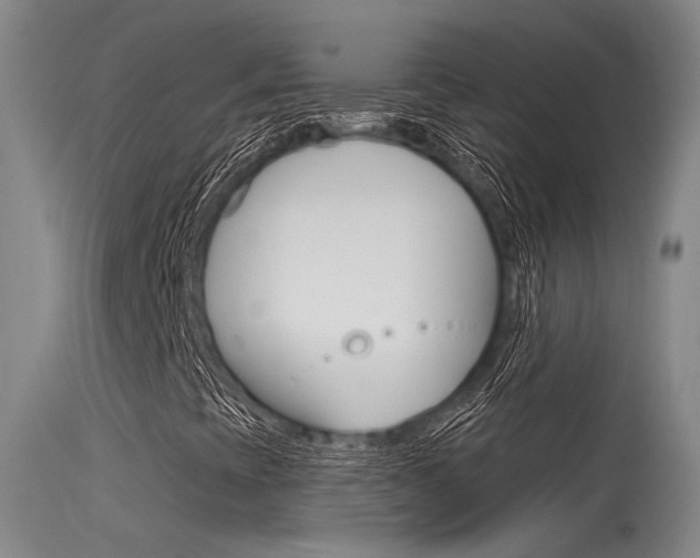 X0000115531393200911061116
