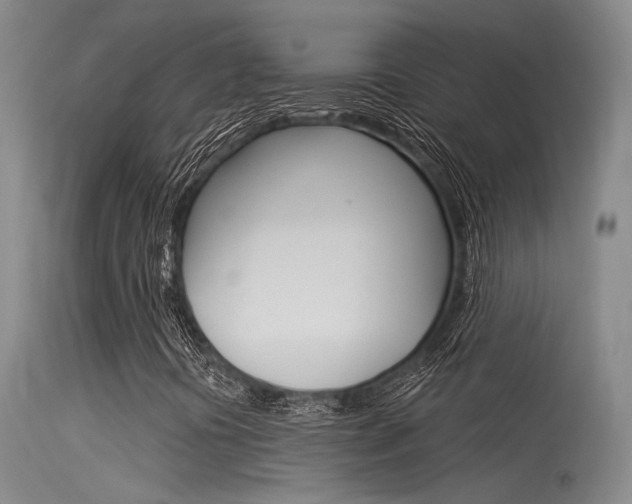 X0000115531394200911061116