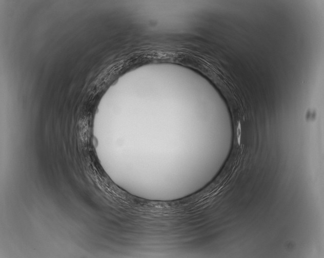 X0000115531395200911061116