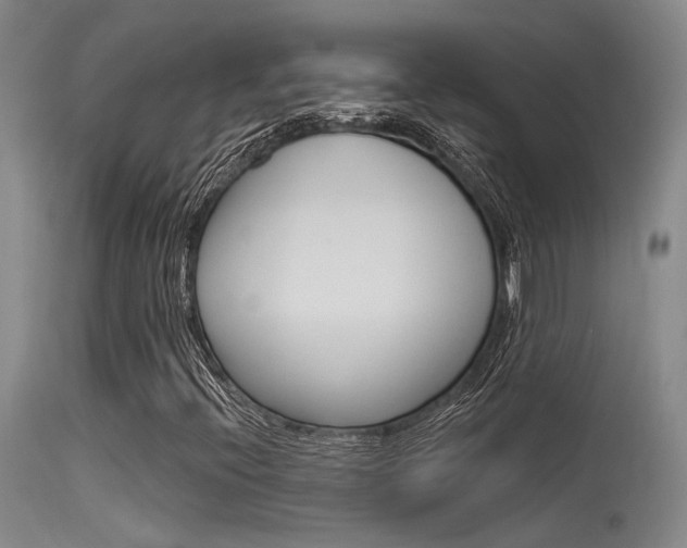 X0000115531396200911061116