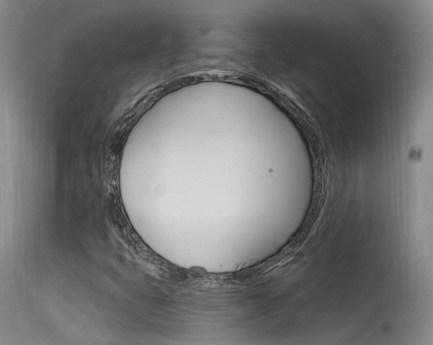 X0000115531399200911061116