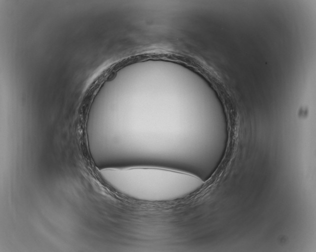 X0000115531400200911061116