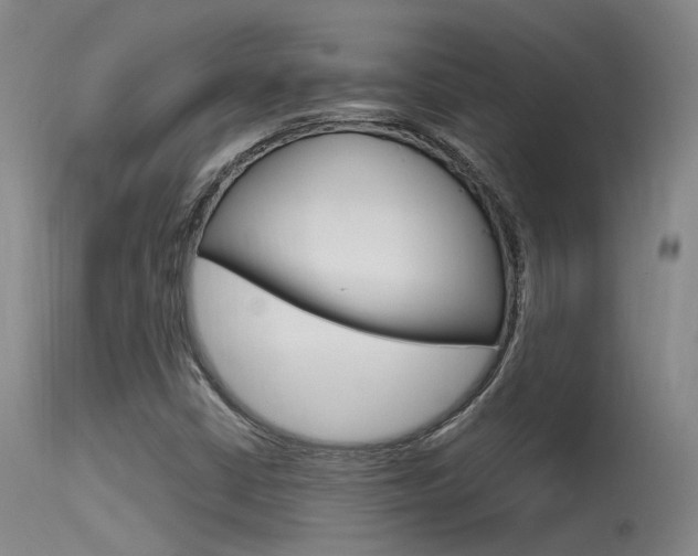 X0000115531402200911061117