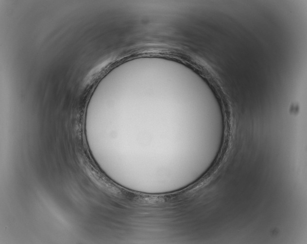 X0000115531403200911061117