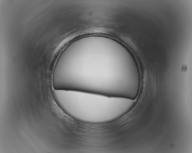 X0000115531404200911061117