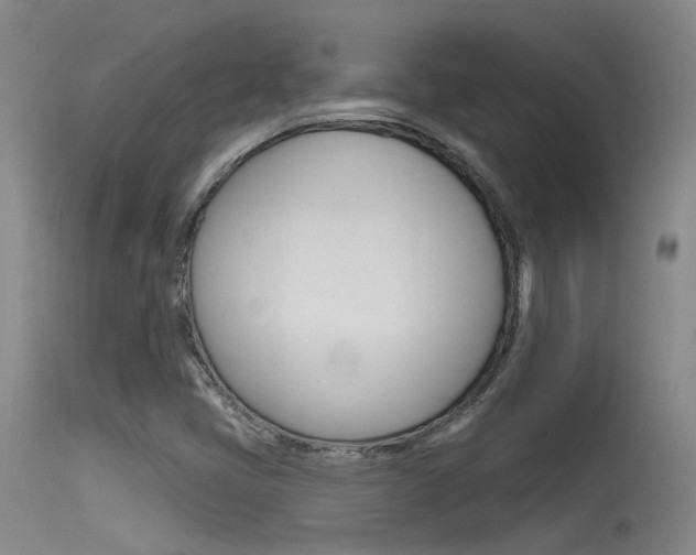 X0000115531405200911061117